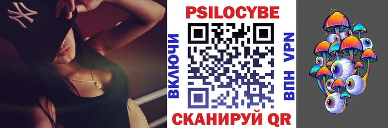 Галлюциногенные грибы Cubensis  Ессентуки 